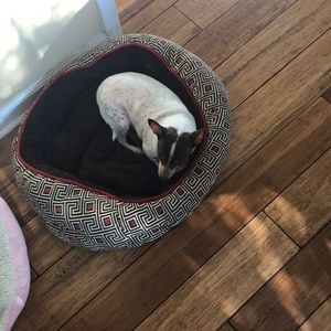 Meet your Posher, Nadine